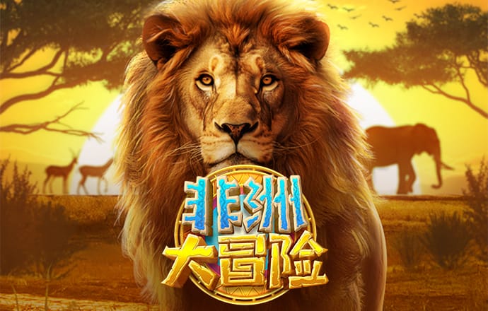 hth全站登录