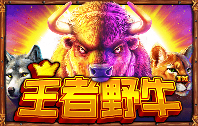 金牛网金牛版42260最新版